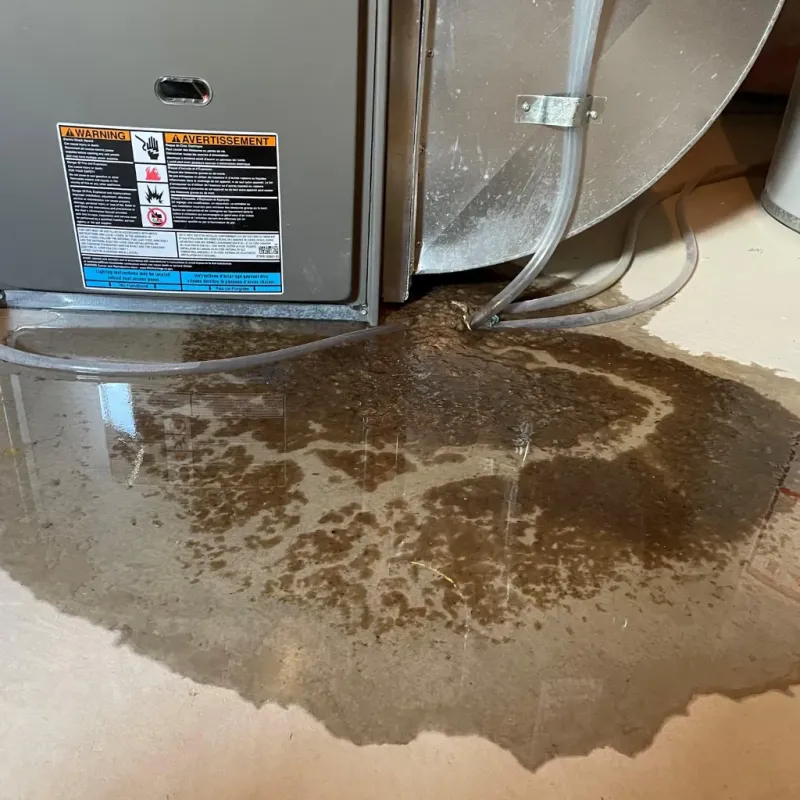 Appliance Leak Cleanup in Lyndon, VT